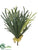Staghorn Fern Bush - Green Frosted - Pack of 6