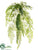 Hanging Fern Bush - Green - Pack of 12