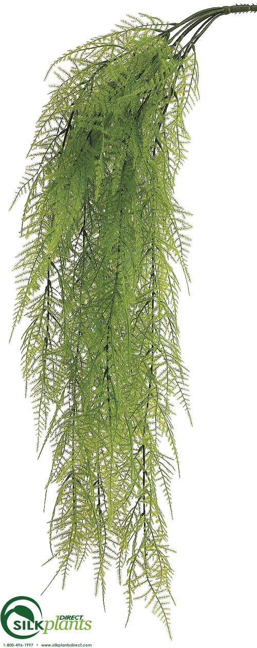 Artificial Asparagus Fern Hanging Basket - Fake Ferns