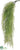 Asparagus Fern Hanging Bush - Green Light - Pack of 12