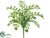 Miller Fern Bush - Green - Pack of 12