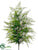 Lace Fern Bush - Green - Pack of 4
