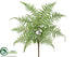 Silk Plants Direct Boston Fern Bush - Green - Pack of 12