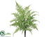 Silk Plants Direct Boston Fern Bush - Green - Pack of 12