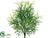 Staghorn Fern Bush - Green - Pack of 12