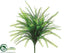 Silk Plants Direct Button Fern Bush - Green - Pack of 12