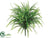 Button Fern Bush - Green - Pack of 6