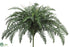 Silk Plants Direct Sword Fern Bush - Green - Pack of 6
