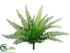 Silk Plants Direct Boston Fern Bush - Green - Pack of 12