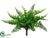 Ruffle Fern Bush - Green - Pack of 12