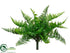 Silk Plants Direct Ruffle Fern Bush - Green - Pack of 12