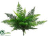 Silk Plants Direct Ruffle Fern Bush - Green - Pack of 12