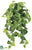 Potato Leaf Hanging Bush - Green Light - Pack of 6
