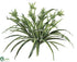 Silk Plants Direct Spider Plant - Green White - Pack of 12