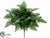 Fern Bush - Green - Pack of 24