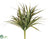 Yucca Fern Bush - Green - Pack of 24
