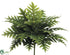 Silk Plants Direct Woodwardia Spotted Fern Bush - Green - Pack of 6