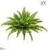 Silk Plants Direct UV Protected Boston Fern Bush - Green - Pack of 6