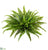 UV Protected Boston Fern Bush - Green - Pack of 4