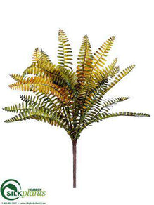 Boston Fern Bush - Olive Green - Pack of 12