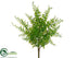 Silk Plants Direct Curly Fern Bush - Green - Pack of 24
