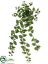 Silk Plants Direct Ficus Primula Hanging Bush - Green - Pack of 24