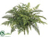 Silk Plants Direct Large Phoenix Palm Leather Fern Bush - Green - Pack of 6