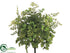 Silk Plants Direct Maidenhair Fern Bush - Green Light - Pack of 6
