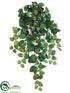 Silk Plants Direct Swedish Ivy Hanging Bush - Green - Pack of 12