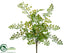Silk Plants Direct Lace Fern Bush - Green - Pack of 24