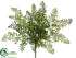 Silk Plants Direct Lace Fern Bush - Green - Pack of 12