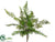 Leather Fern Bush - Green - Pack of 24