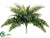 Boston Compacta Fern Bush - Green - Pack of 6