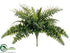 Silk Plants Direct Boston Compacta Fern Bush - Green - Pack of 6