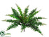 Silk Plants Direct Boston Fern Bush - Green - Pack of 12