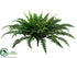 Silk Plants Direct Boston Fern Bush - Green - Pack of 6