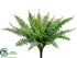 Silk Plants Direct Boston Fern Bush - Green Frosted - Pack of 12