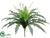 Fishtail Fern Bush - Green - Pack of 4