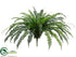 Silk Plants Direct Fishtail Fern Bush - Green - Pack of 1