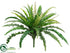 Silk Plants Direct Forest Fern Bush - Green - Pack of 12