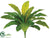 Outdoor Bird Nest Fern Bush - Green - Pack of 12