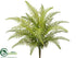 Silk Plants Direct Boston Fern Bush - Green - Pack of 6
