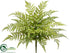 Silk Plants Direct Leather Fern Bush - Green - Pack of 6