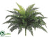 Silk Plants Direct Ruffle Fern Bush - Green - Pack of 6