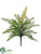 Boston Fern Bush - Green - Pack of 12