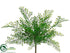 Silk Plants Direct Maidenhair Fern Bush - Green - Pack of 12