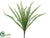 Sword Fern Bush - Green - Pack of 24