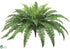 Silk Plants Direct Outdoor Boston Fern Bush - Green - Pack of 6