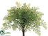 Silk Plants Direct Mini Maidenhair Fern Bush - Green - Pack of 12