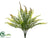 Fern Bush - Green - Pack of 12